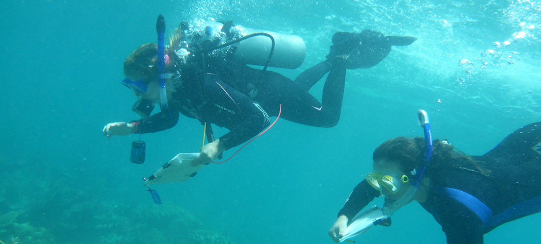 Two geology students researching reefs in Belize
